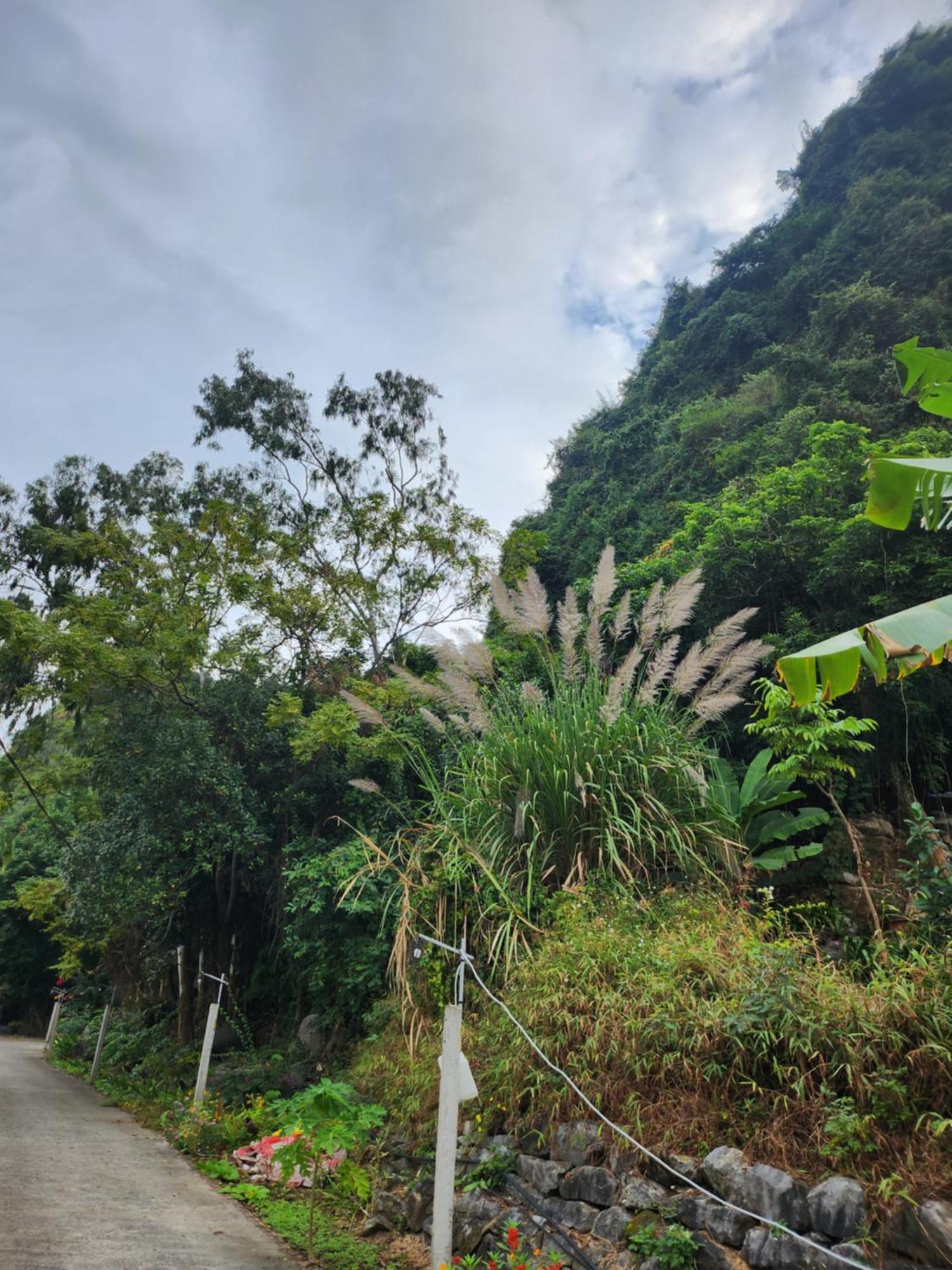 2Stones Cat Ba Homestay Chan Chau Zewnętrze zdjęcie